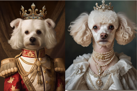 Which Style Should I Choose for a Pet Portrait?