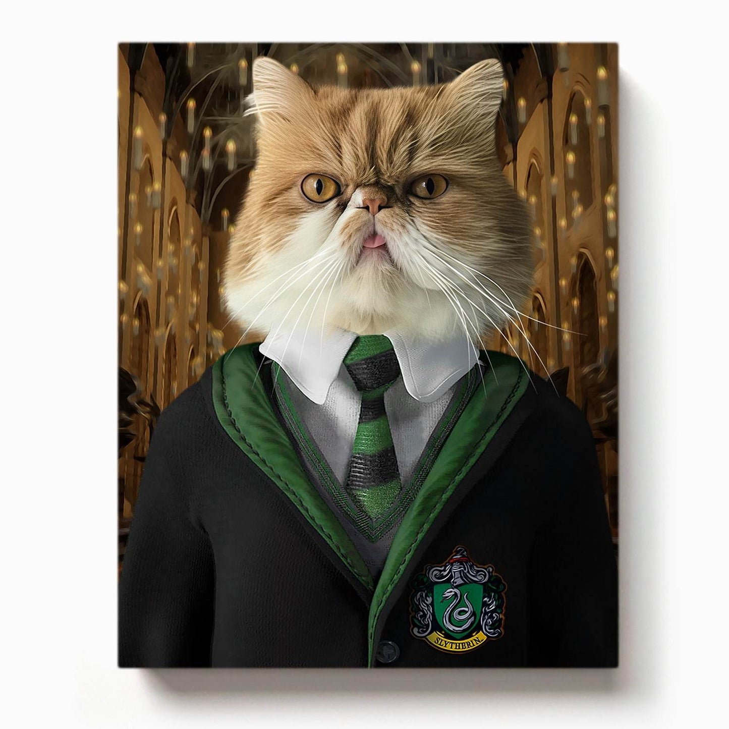 Fluffy cat in Slytherin-style robes with a green and black tie, standing in a candle-lit magical great hall