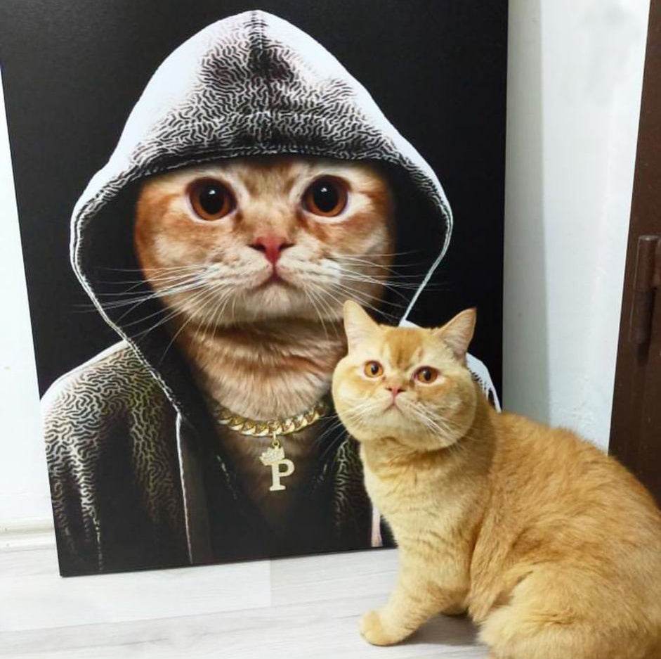 The Rapper