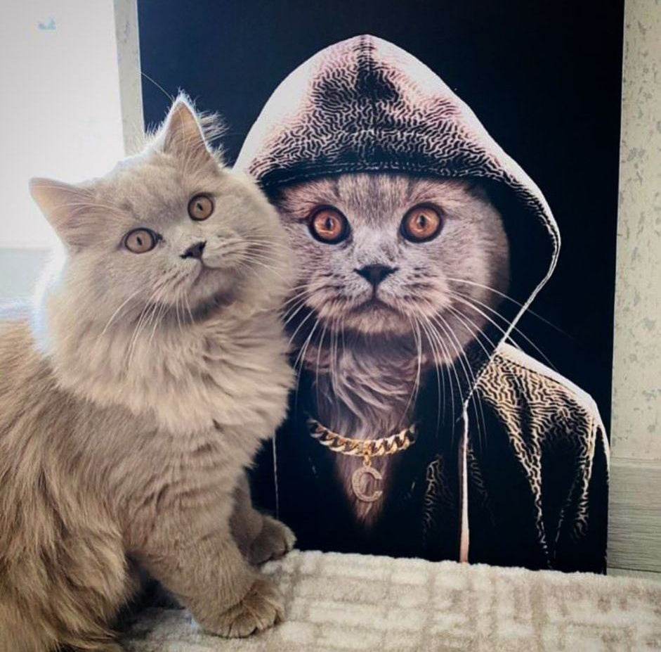 The Rapper