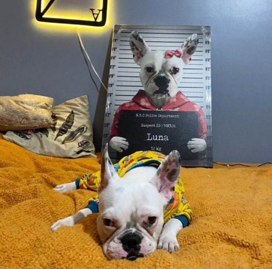 Pet Mugshot - Female