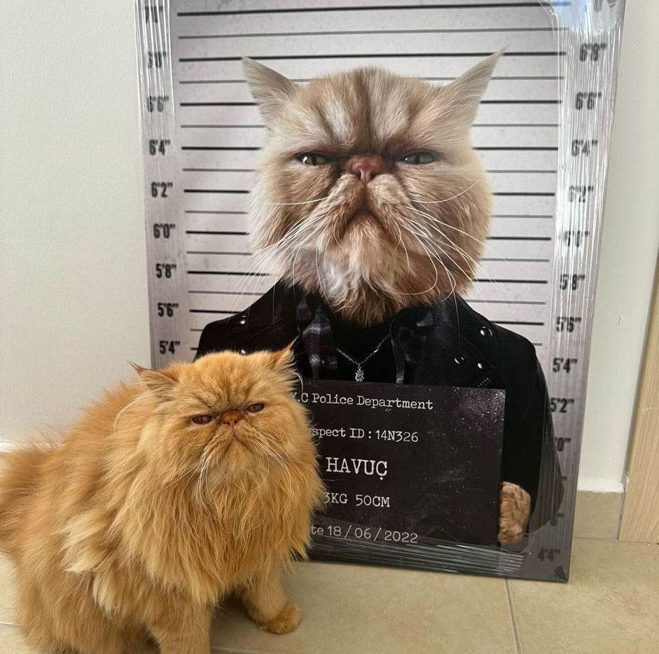 Pet Mugshot - RoyalPortraitUs