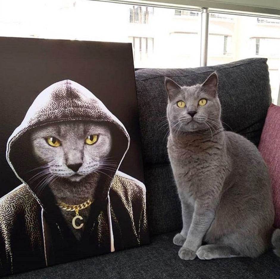 The Rapper