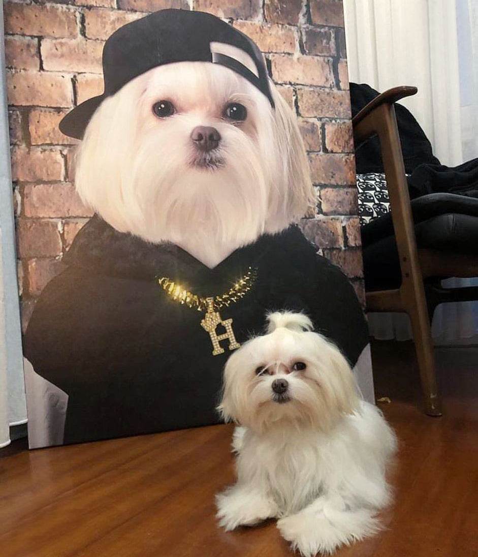 The Fancy Boy