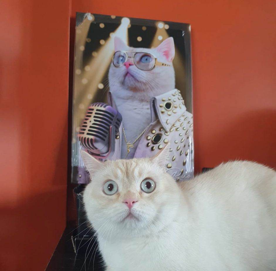 The Singer - Elvis Presley - RoyalPortraitUs