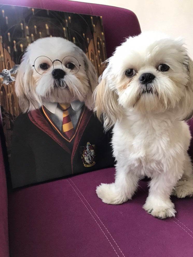 Harry Potter - Gryffindor House - RoyalPortraitUs