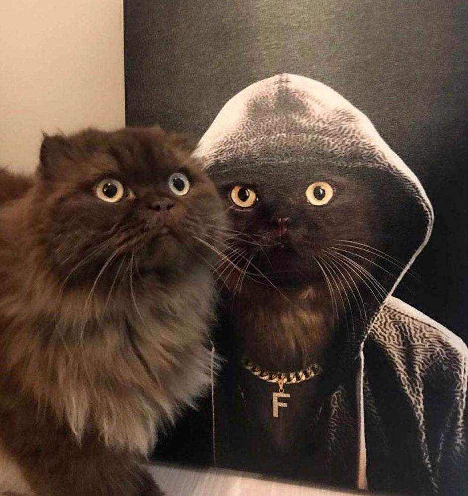 The Rapper