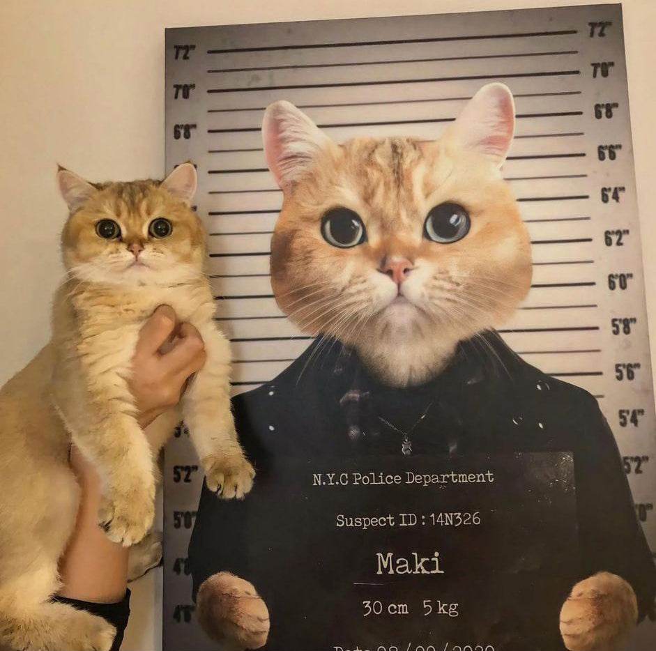 Pet Mugshot - RoyalPortraitUs