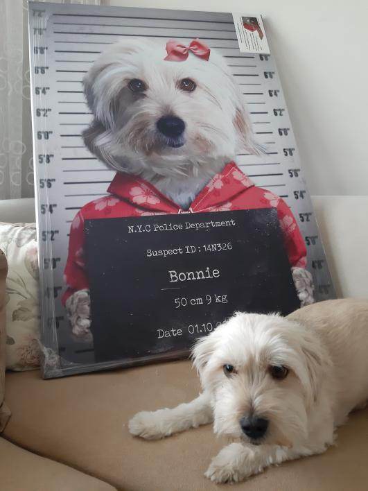 Pet Mugshot - Female