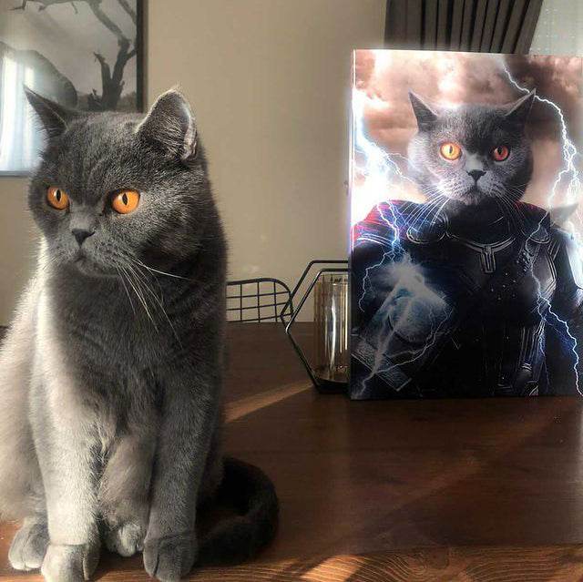 Thor - The King of Asgard