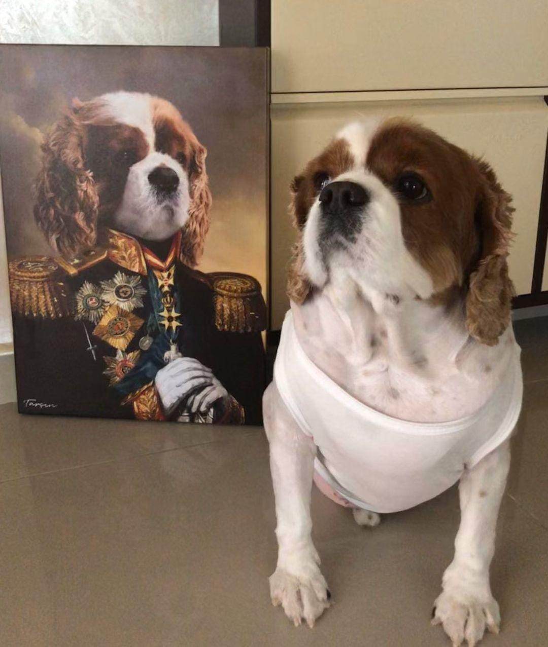 The Admiral - RoyalPortraitUs