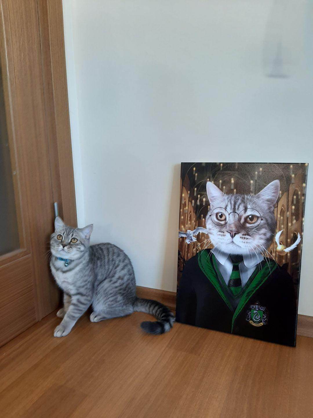 Harry Potter - Slytherin House
