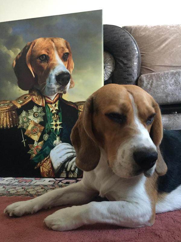 The Admiral - RoyalPortraitUs
