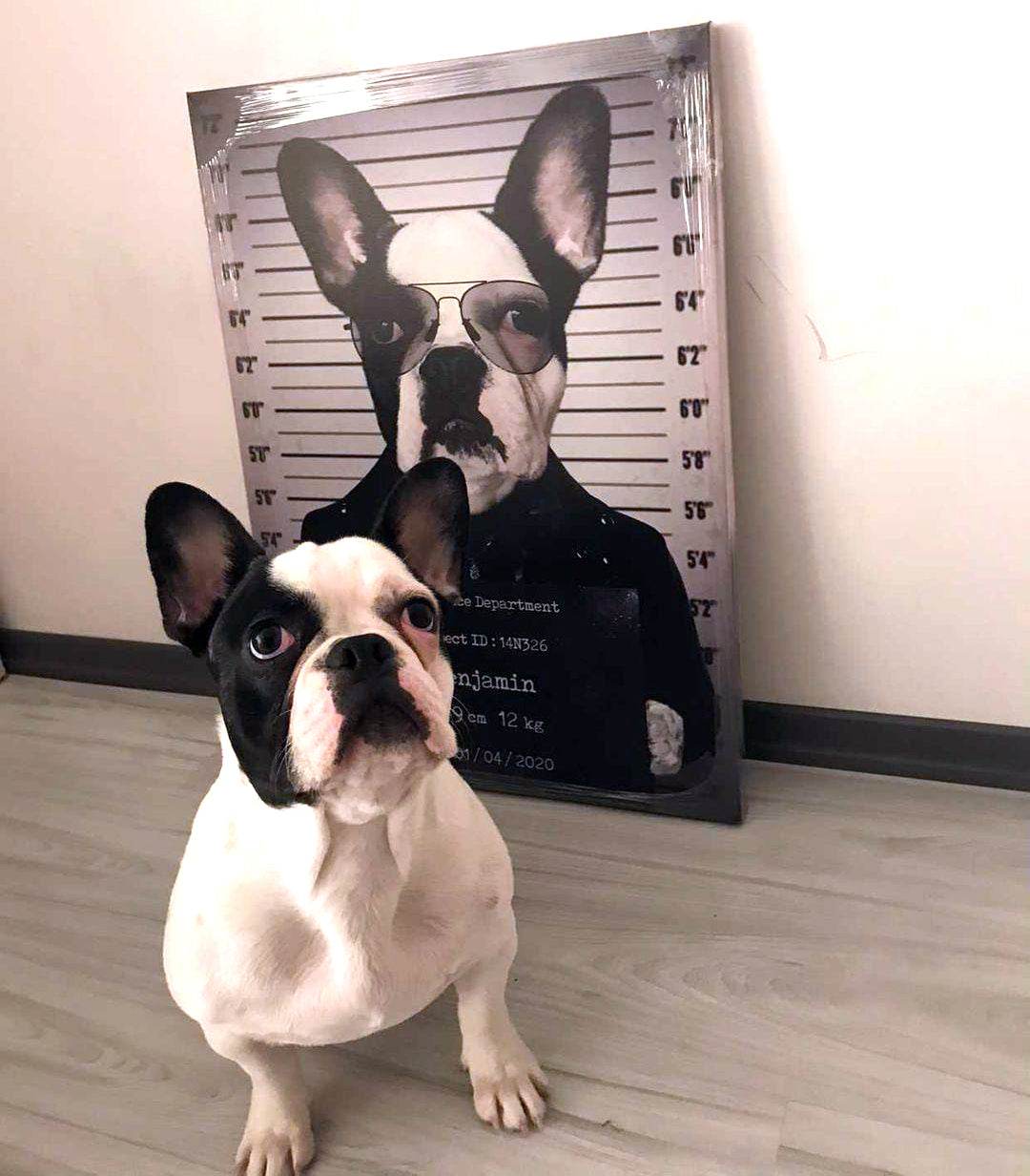 Pet Mugshot - RoyalPortraitUs