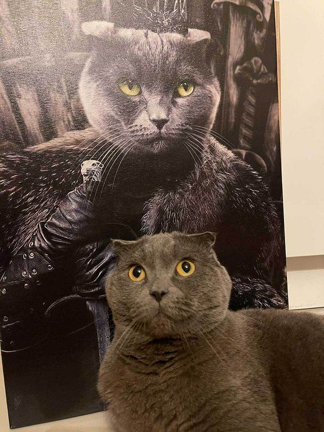 King of the North - RoyalPortraitUs