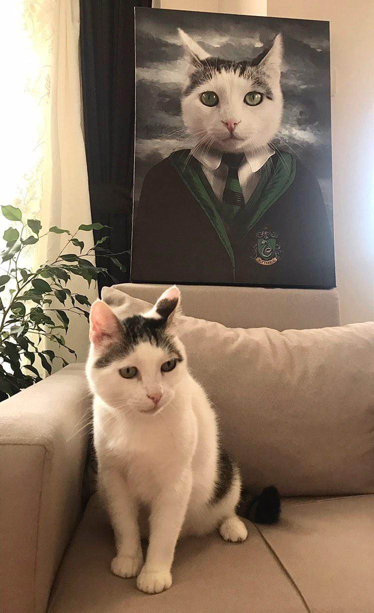 Harry Potter - Slytherin House