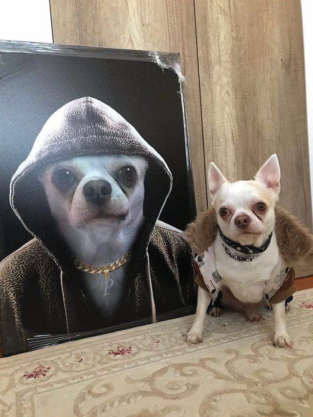 The Rapper