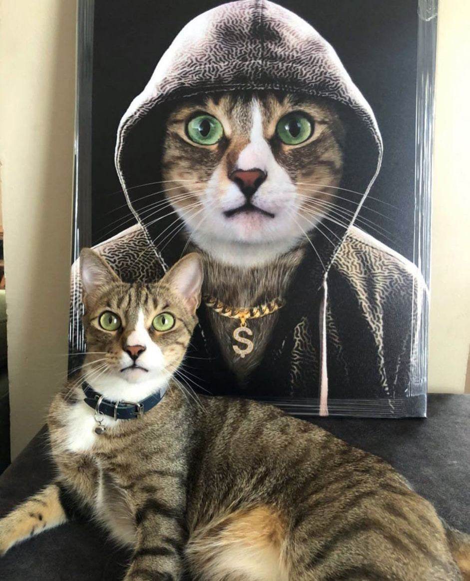 The Rapper