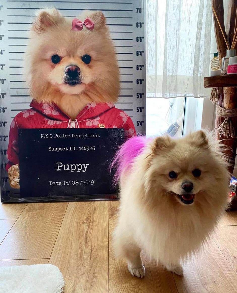 Pet Mugshot - Female