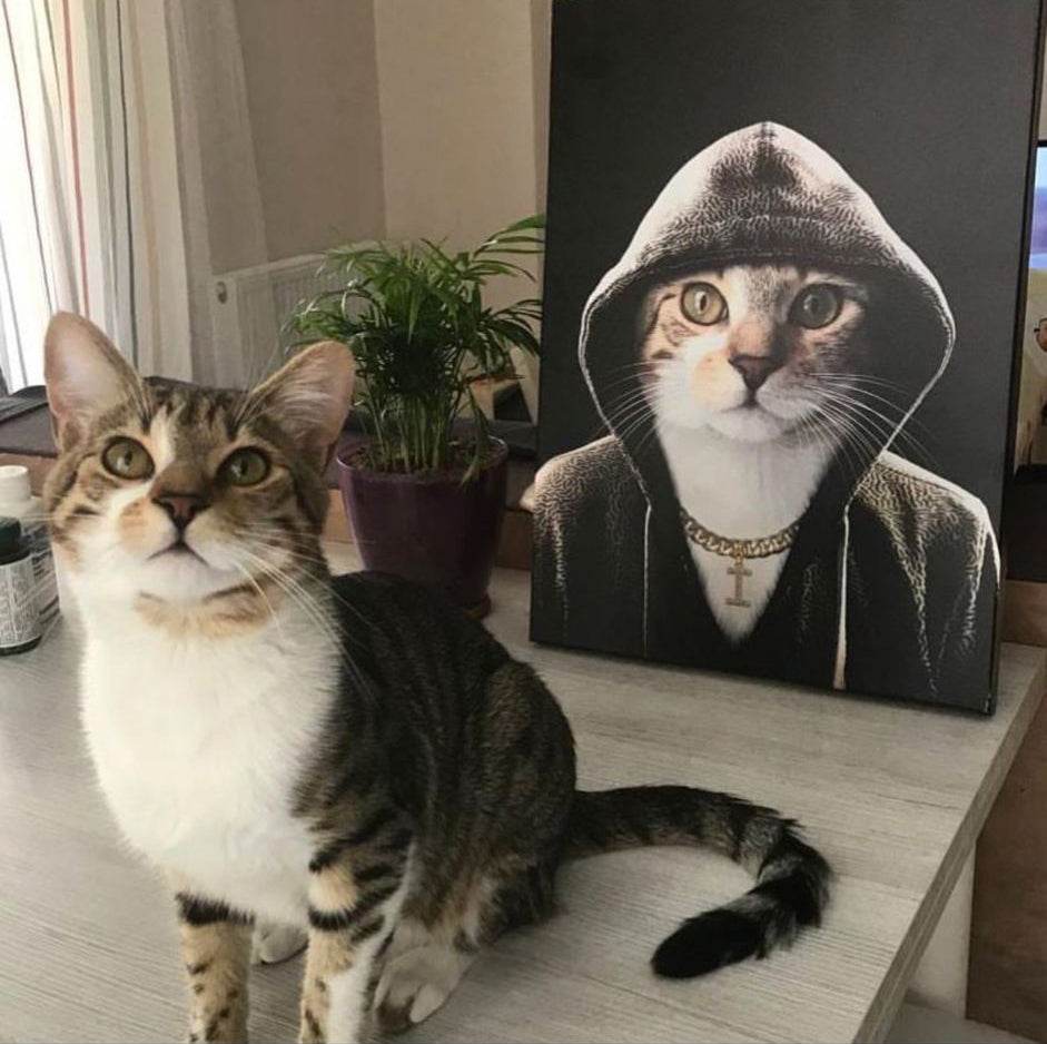 The Rapper