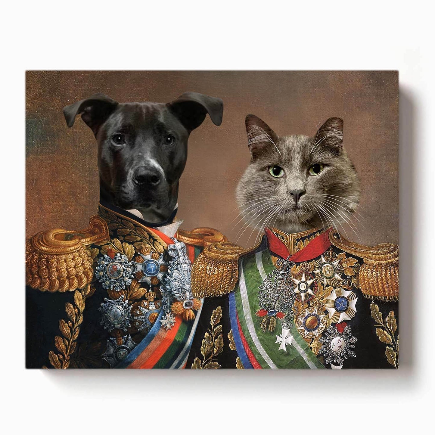 dog and cat dressed as royal military leaders in detailed ornate uniforms with medals