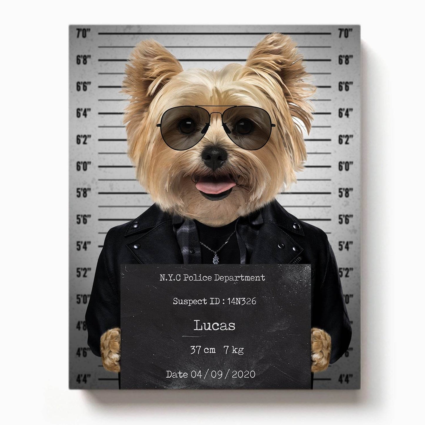 Pet Mugshot - RoyalPortraitUs