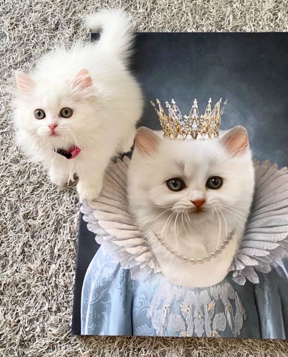 The Princess - RoyalPortraitUs