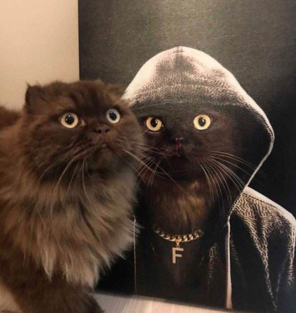 The Rapper