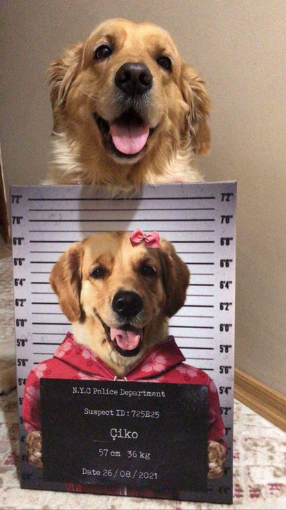 Pet Mugshot - Female