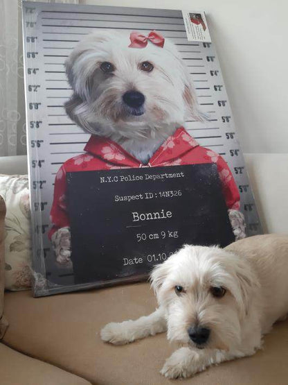 Pet Mugshot - Female