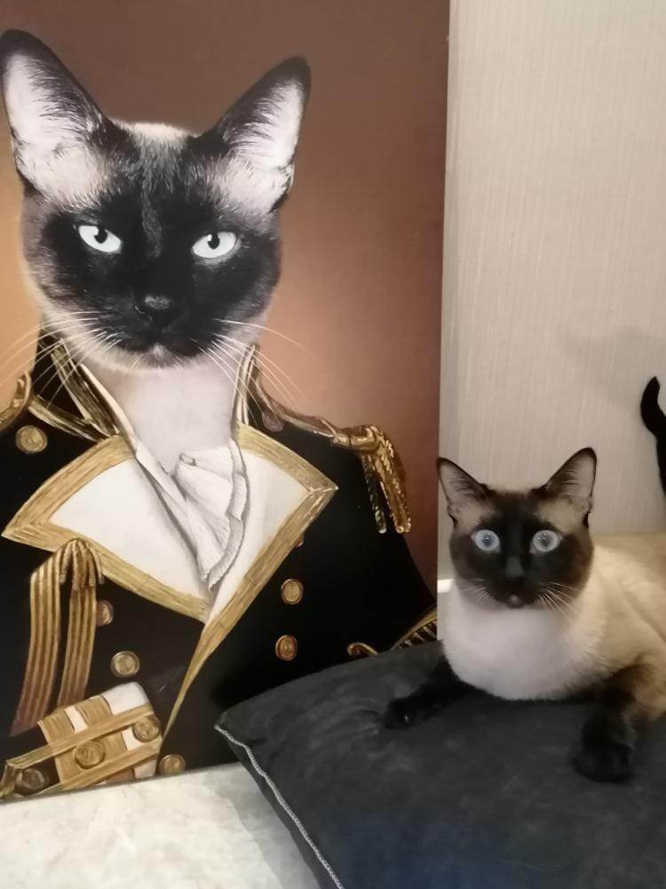 The Count - RoyalPortraitUs