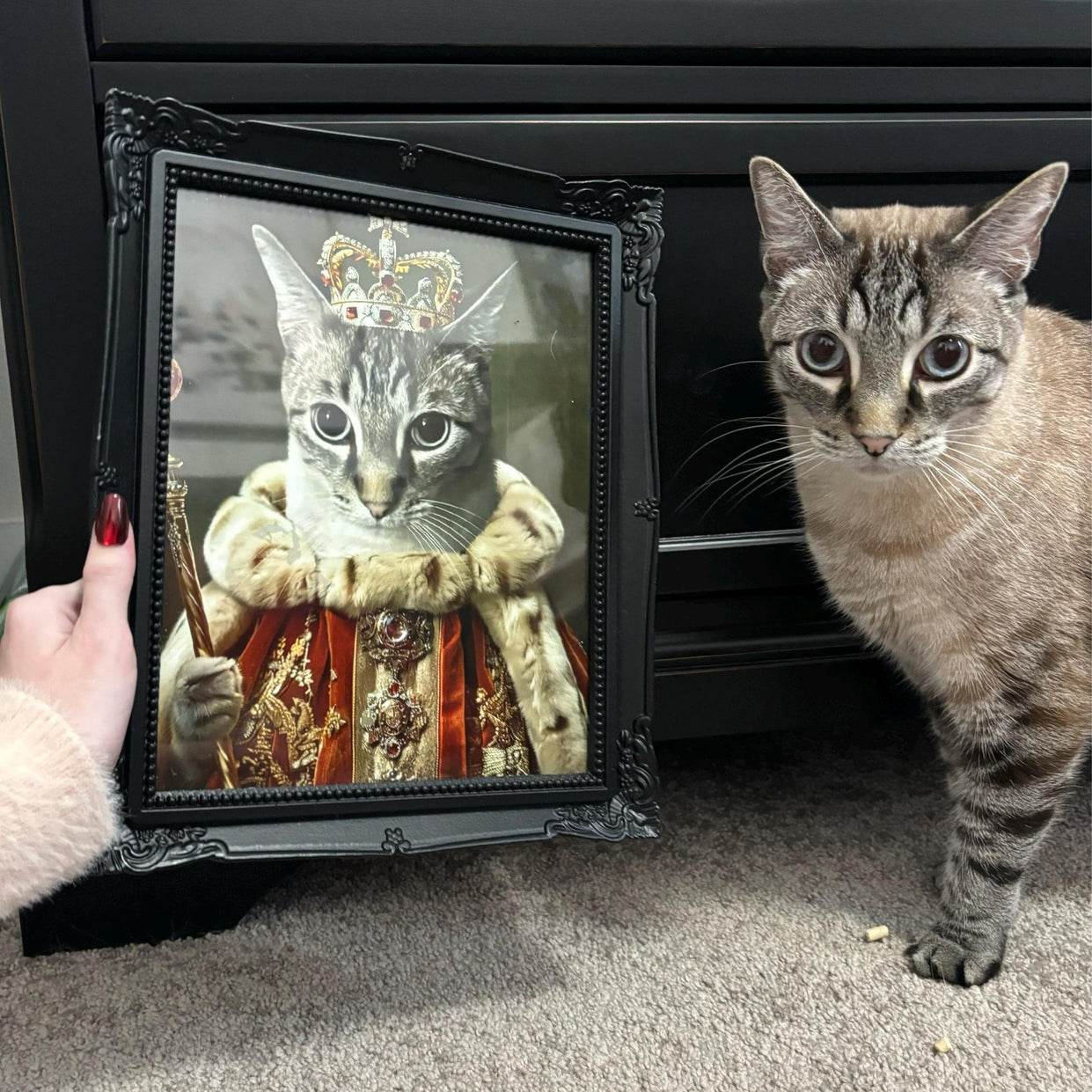 The War General - RoyalPortraitUs