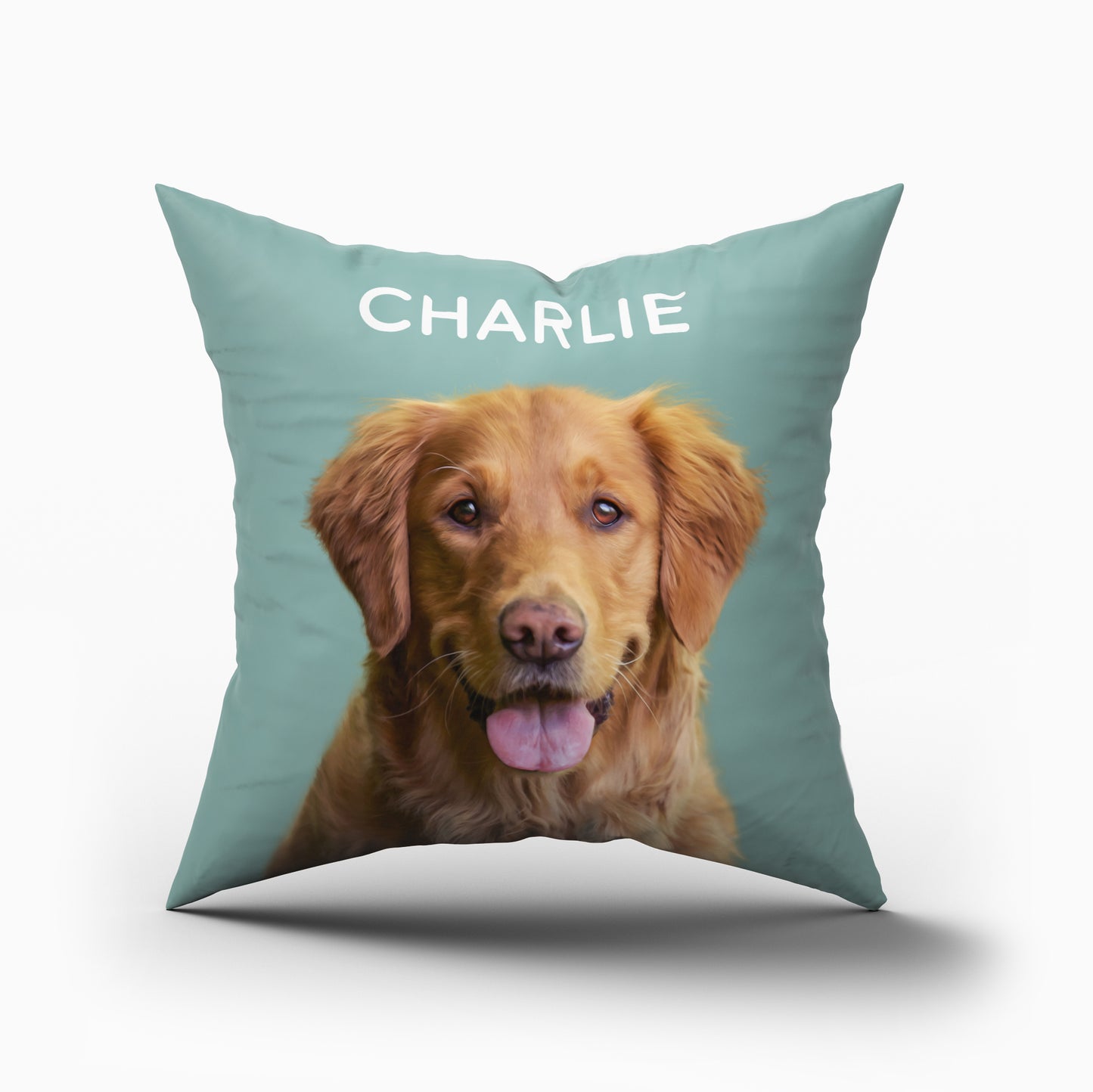 Custom Throw Pillow