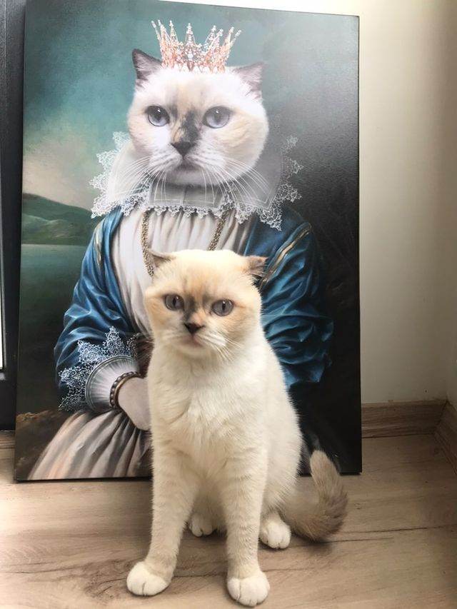The Lady of the Manor - RoyalPortraitUs