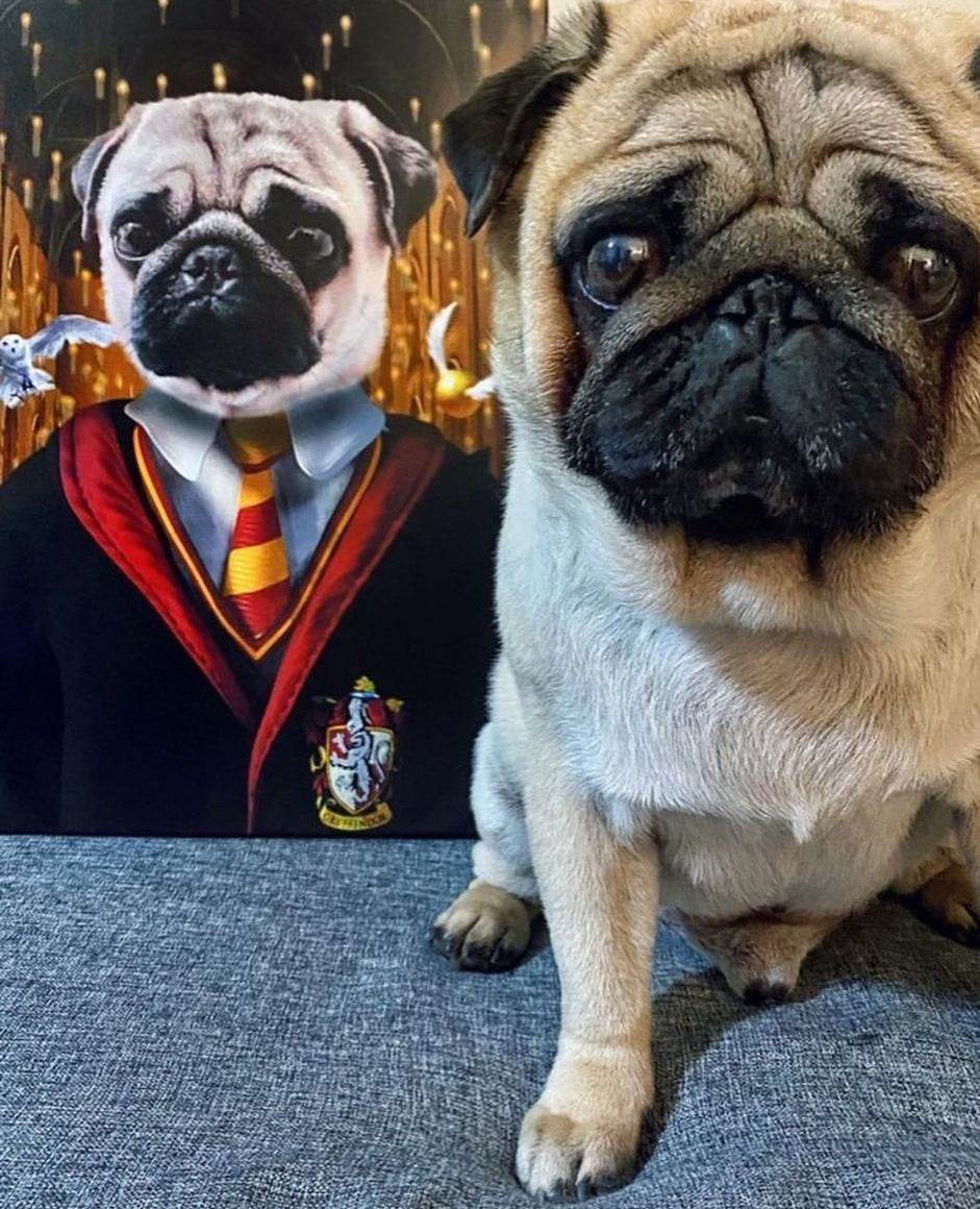 Harry Potter - Gryffindor House - RoyalPortraitUs