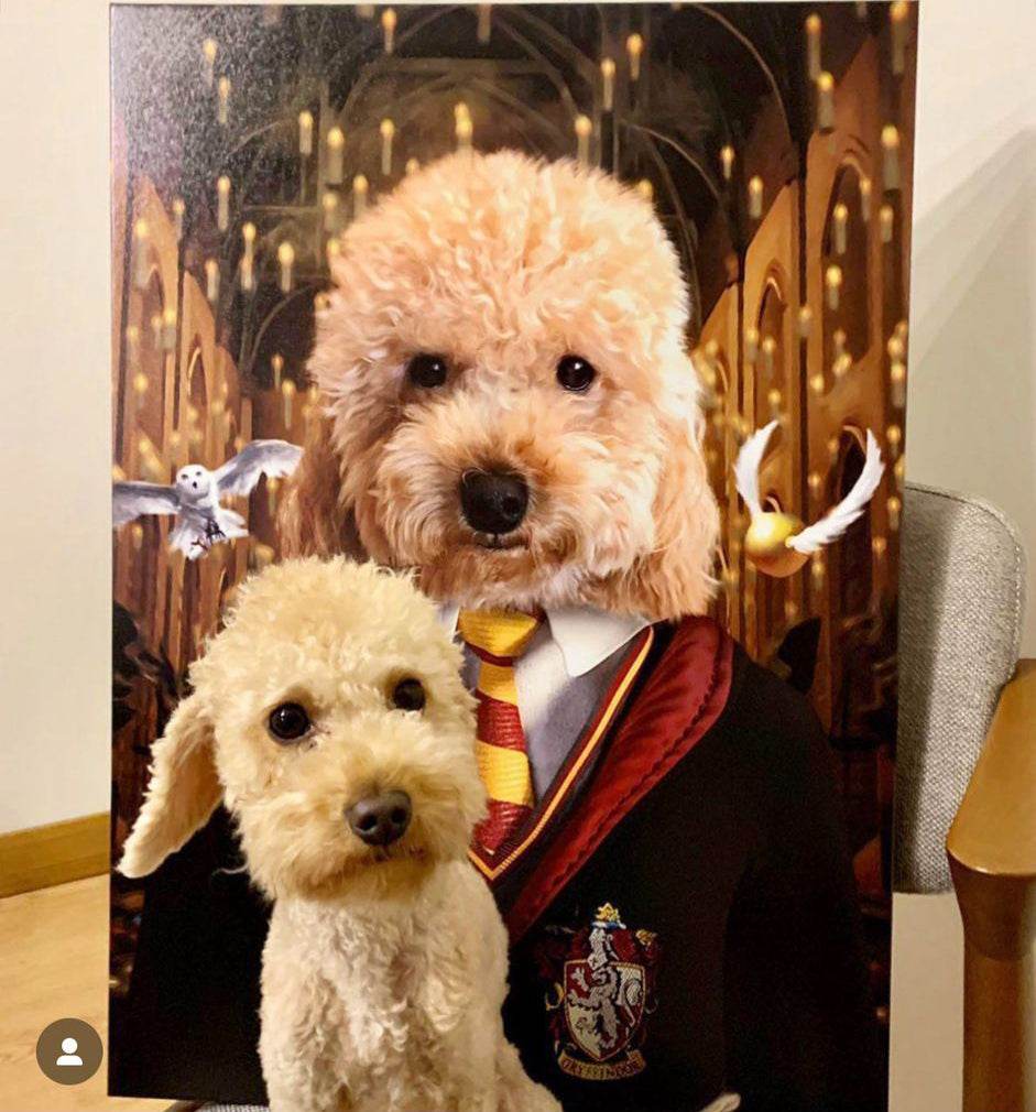 Harry Potter - Gryffindor House - RoyalPortraitUs