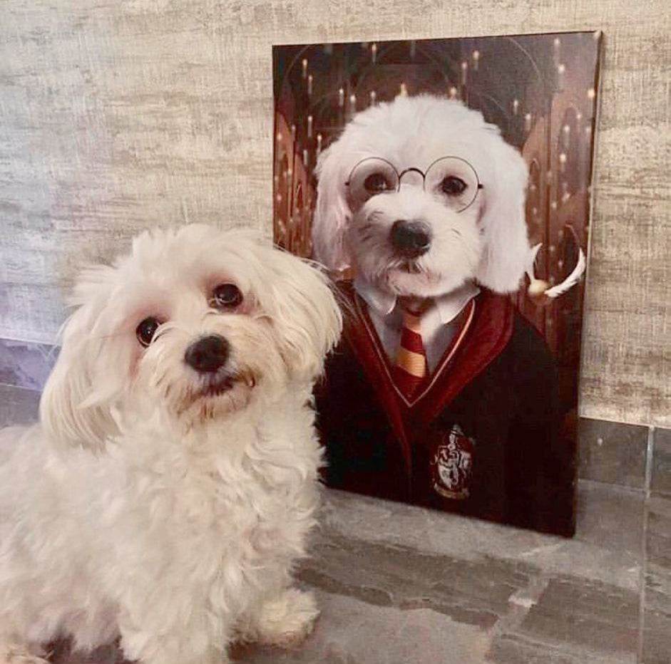 Harry Potter - Gryffindor House - RoyalPortraitUs