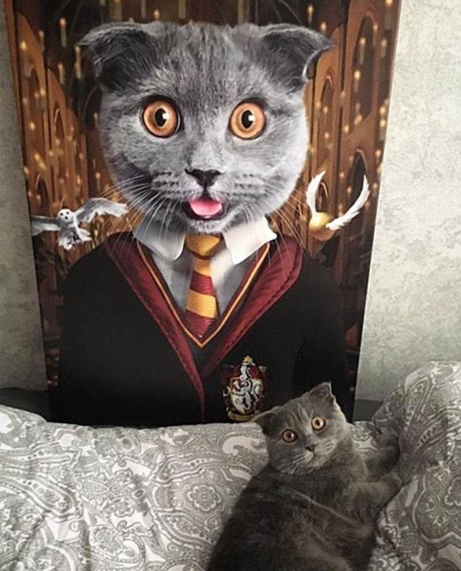 Harry Potter - Gryffindor House - RoyalPortraitUs