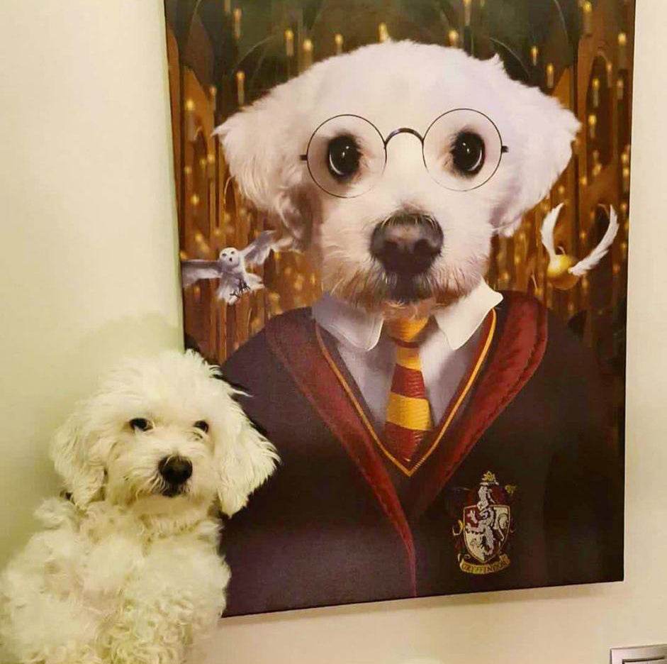 Harry Potter - Gryffindor House - RoyalPortraitUs