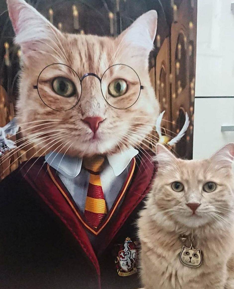 Harry Potter - Gryffindor House - RoyalPortraitUs