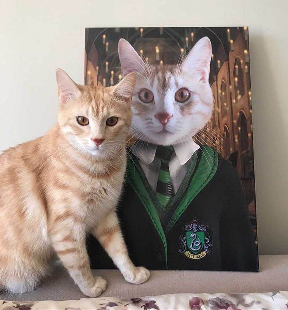 Harry Potter - Slytherin House
