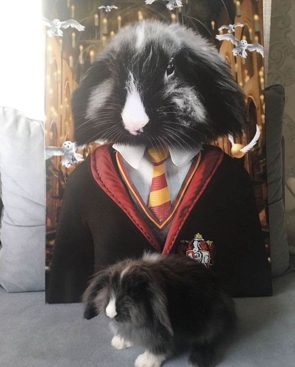 Harry Potter - Gryffindor House - RoyalPortraitUs
