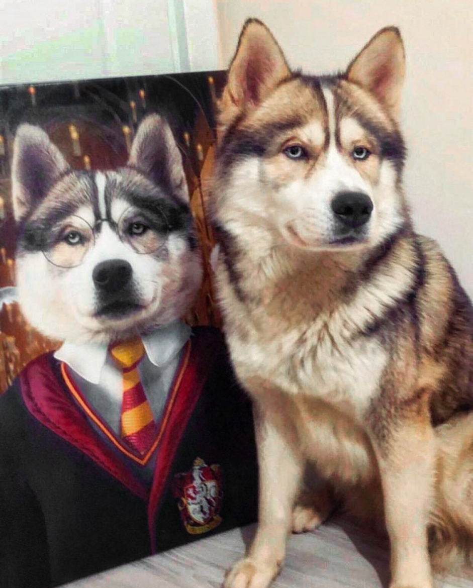 Harry Potter - Gryffindor House - RoyalPortraitUs