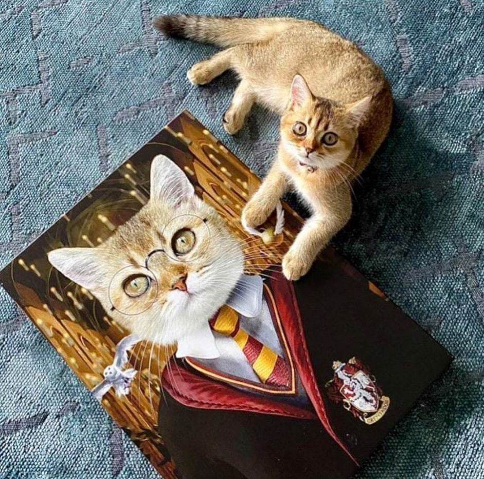 Harry Potter - Gryffindor House - RoyalPortraitUs