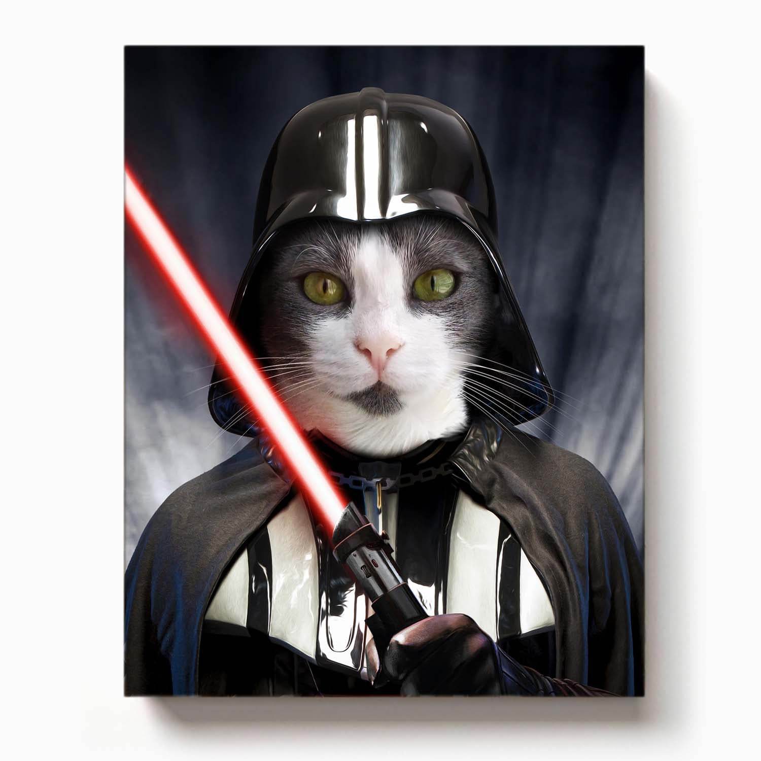 Darth Wader - Star Wars - RoyalPortraitUs