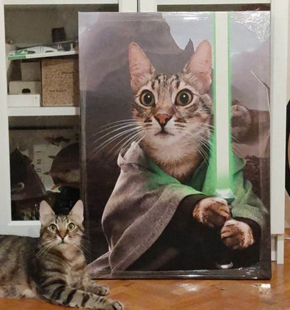 Jedi - Star Wars - RoyalPortraitUs