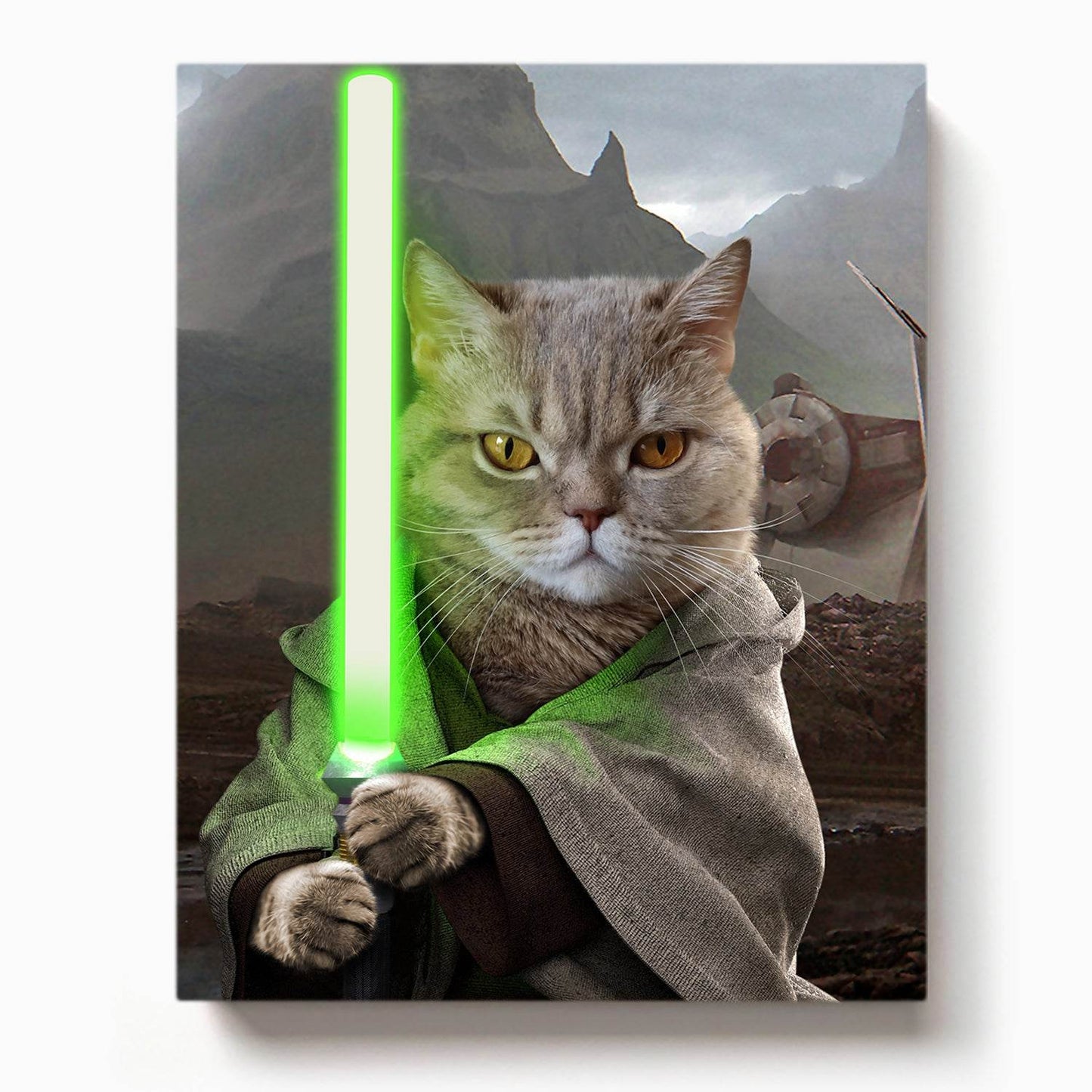 Jedi - Star Wars - RoyalPortraitUs